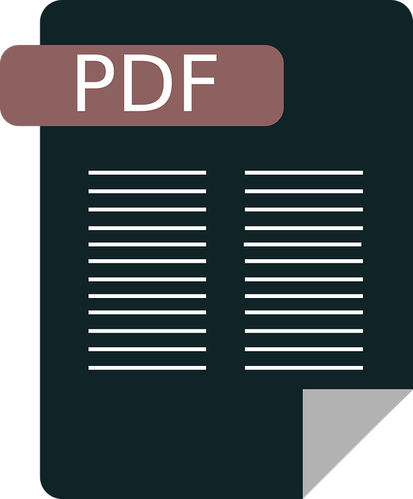 pdf file